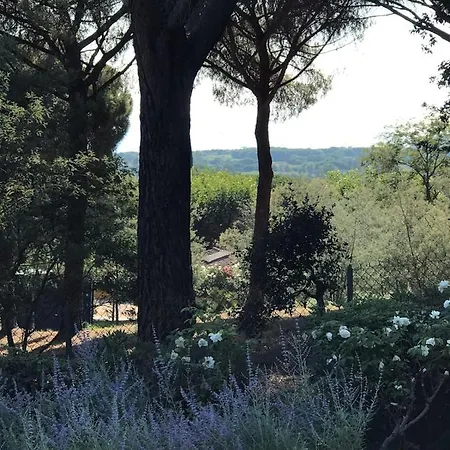 Apartman Deluxe Villa Rocazur